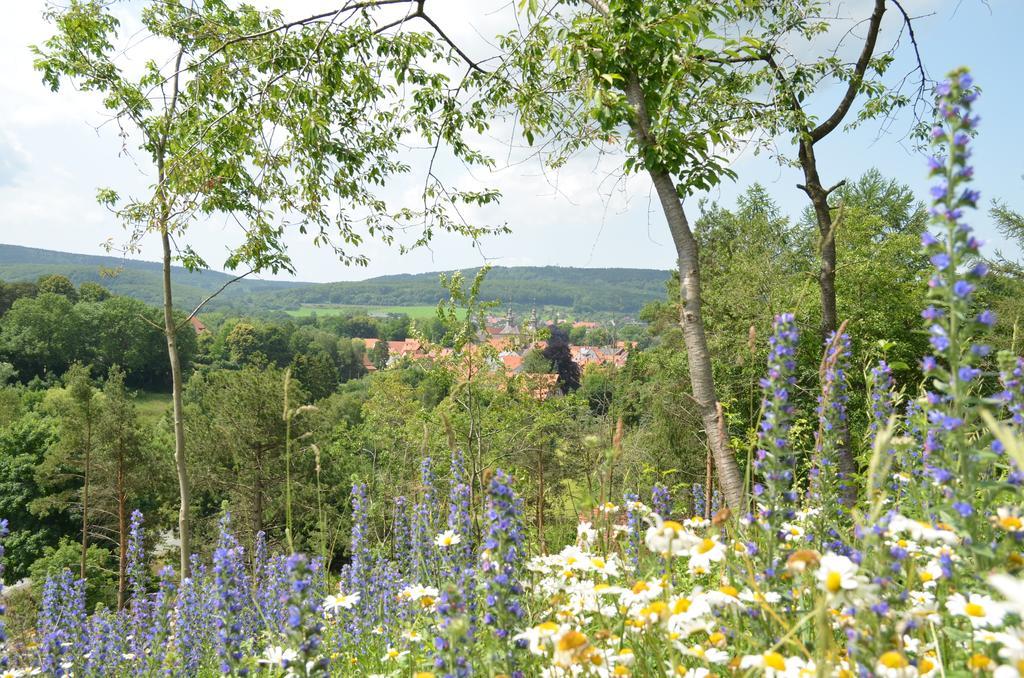Wohlfuehlhotel Der Jaegerhof Willebadessen Esterno foto